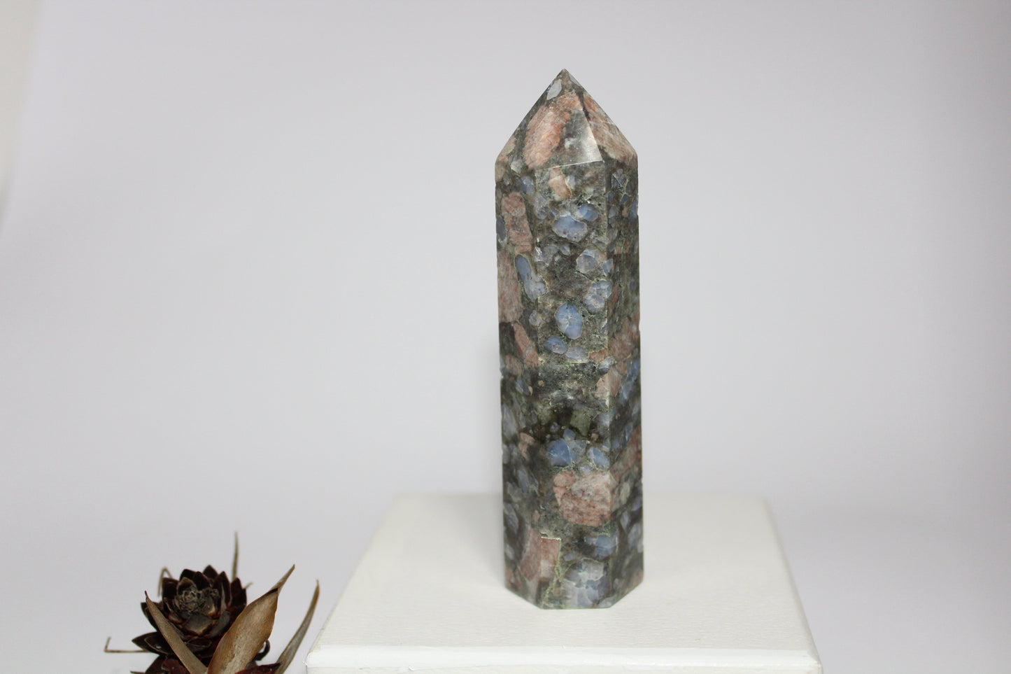 Generator - Que Sera (Vulcanite) - med/lge