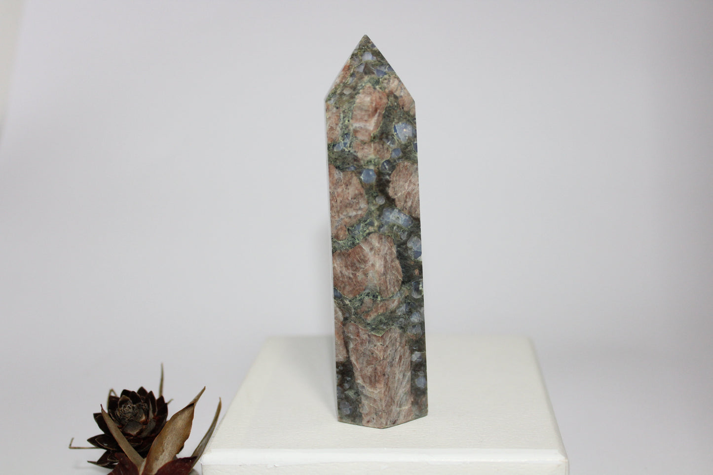 Generator - Que Sera (Vulcanite) - med/lge