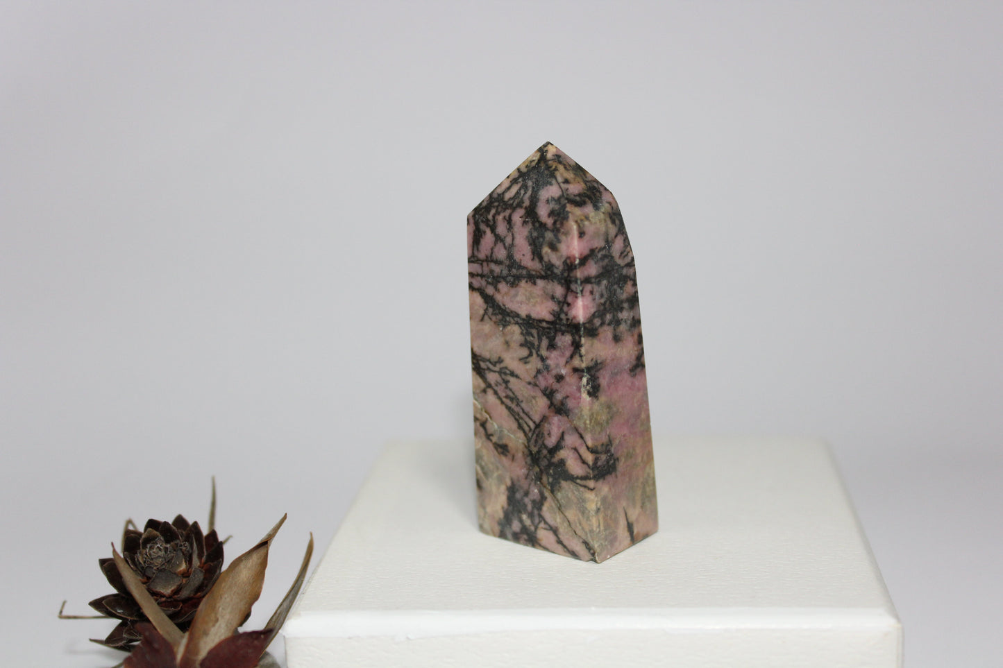 Generator - Rhodonite - med/lge