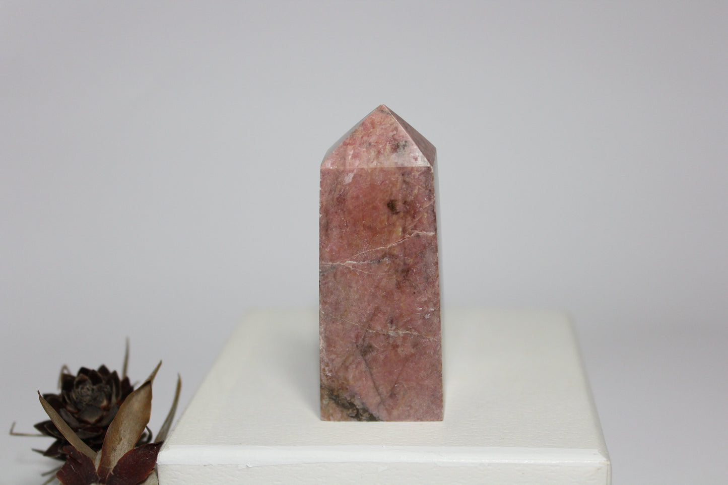 Generator - Rhodonite - med/lge