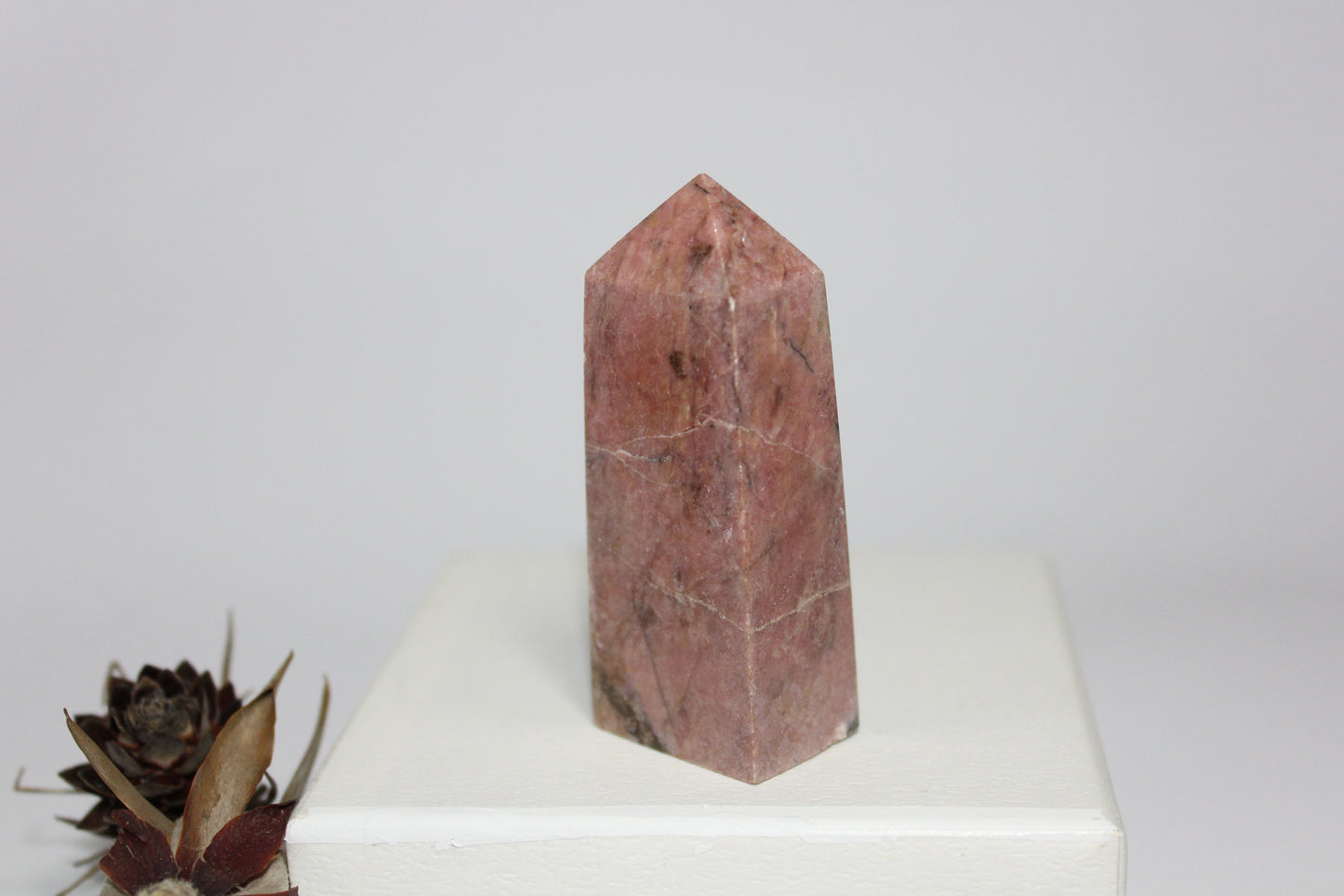 Generator - Rhodonite - med/lge