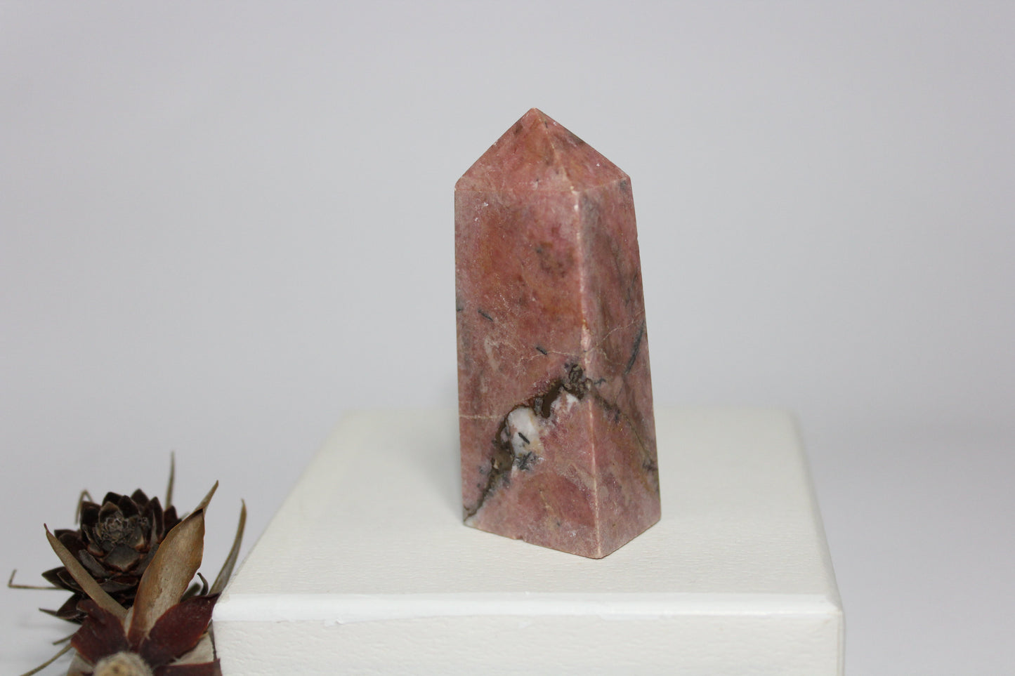 Generator - Rhodonite - med/lge