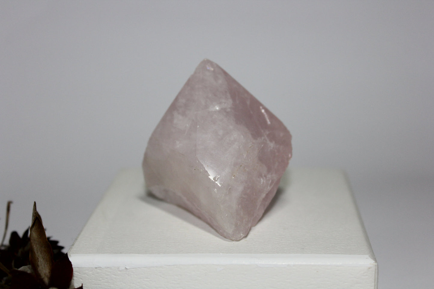 Generator - Rose Quartz (raw-polished point) - lge