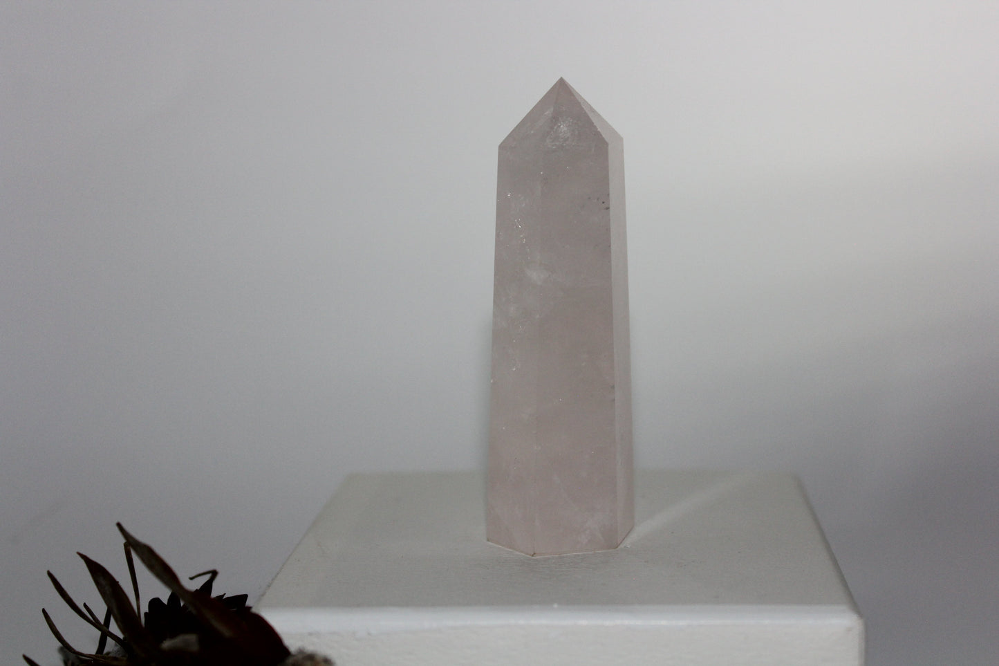 Generator - Rose Quartz - med