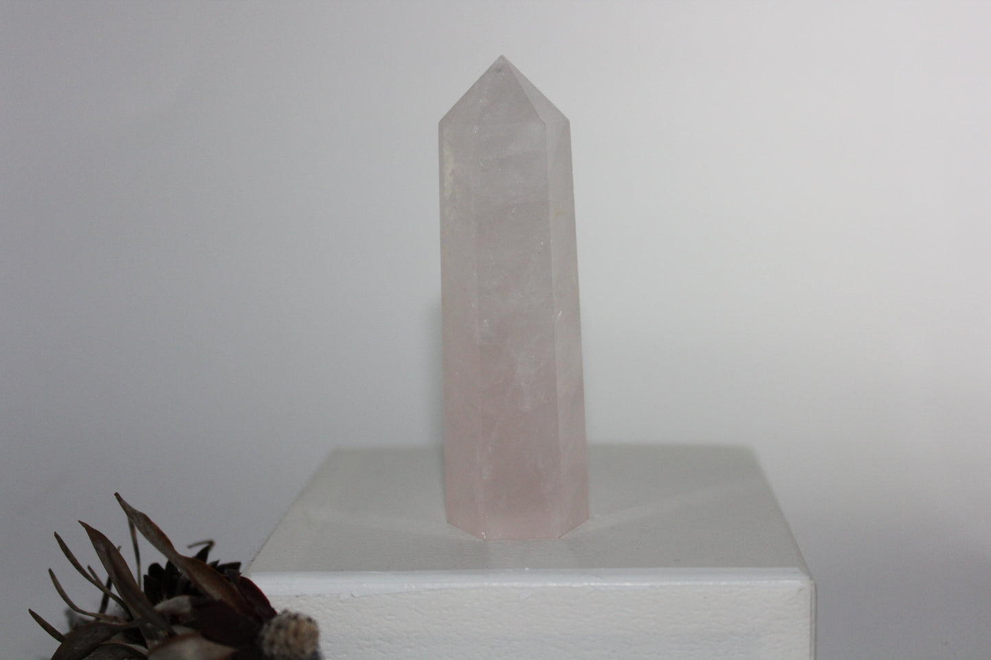 Generator - Rose Quartz - med