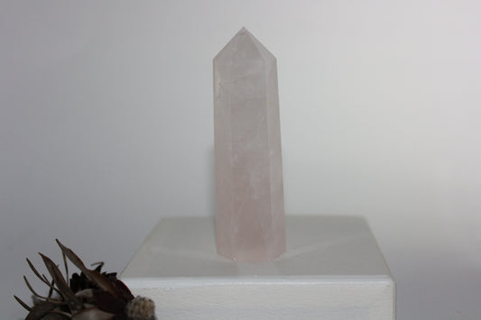 Generator - Rose Quartz - med