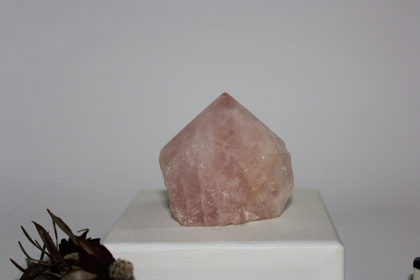 Generator - Rose Quartz (raw-polished point) - lge