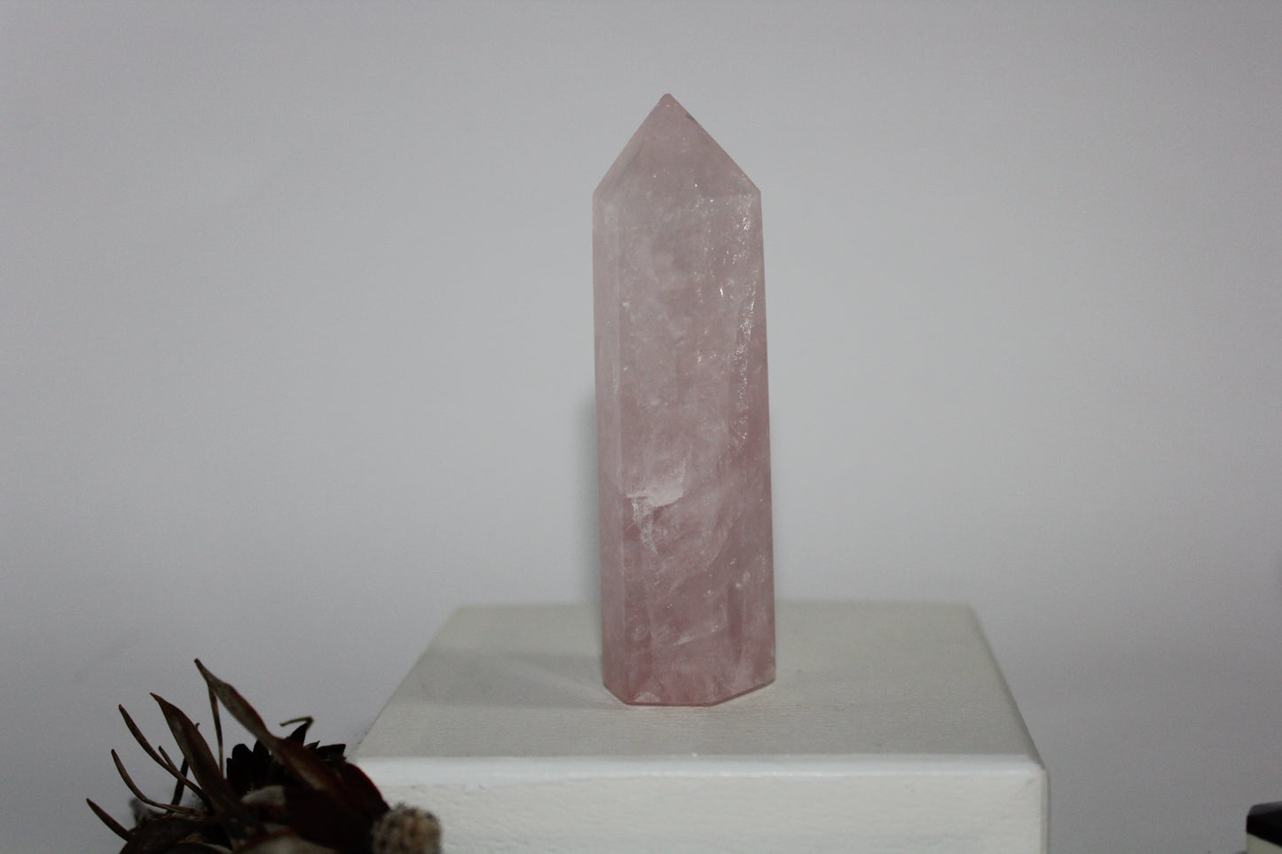 Generator - Rose Quartz - med/lge