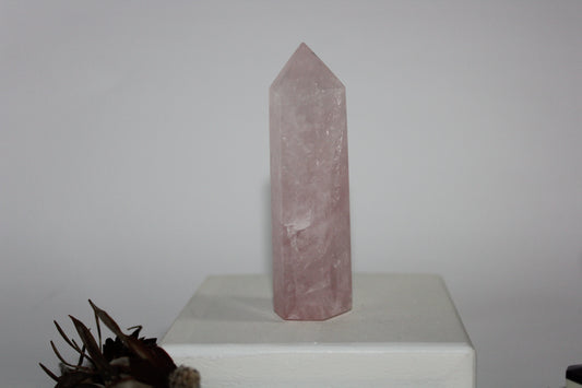 Generator - Rose Quartz - med/lge