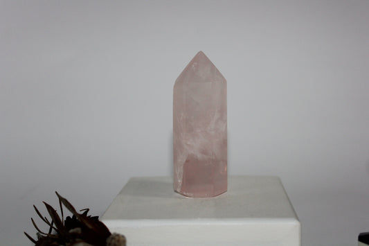 Generator - Rose Quartz - med/lge