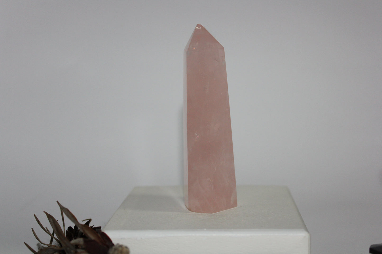 Generator - Rose Quartz - med/lge
