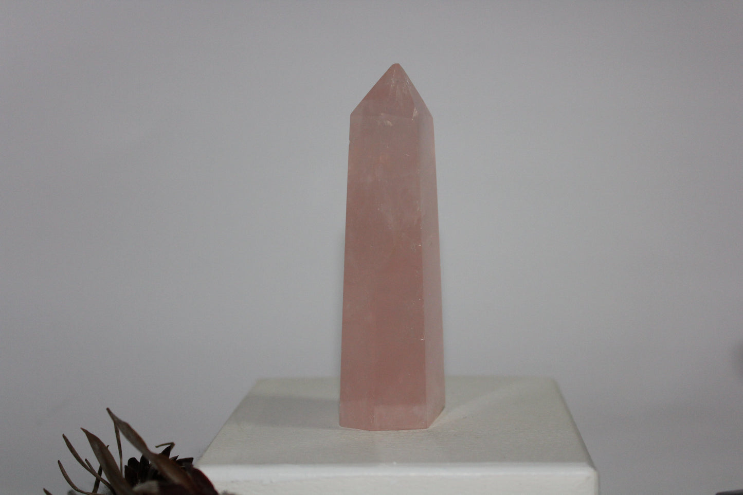Generator - Rose Quartz - med/lge