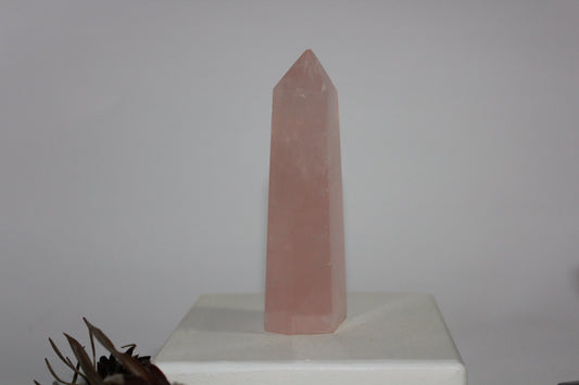 Generator - Rose Quartz - med/lge