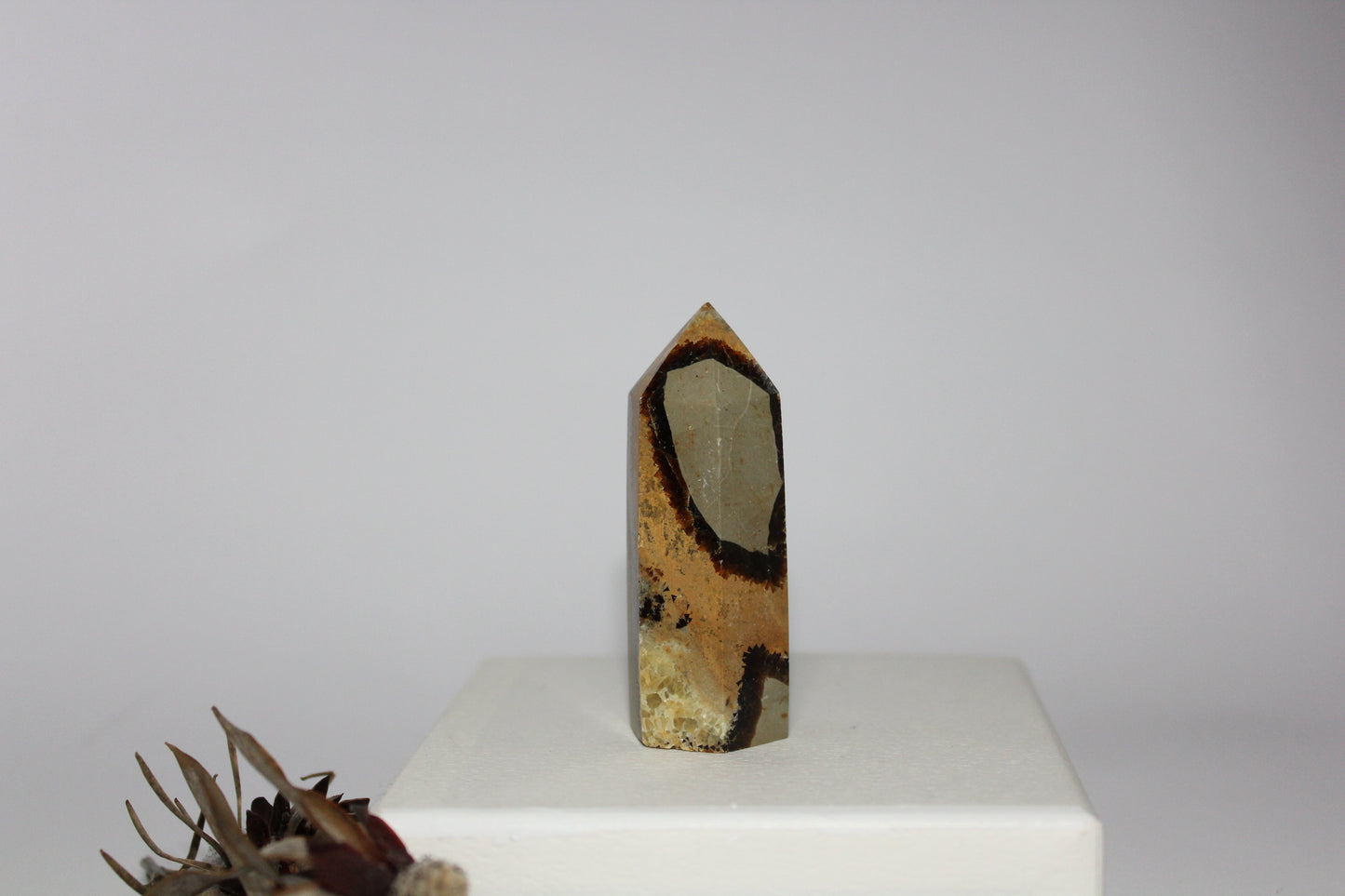 Generator - Septarian (Dragon Stone) - sml/med