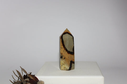 Generator - Septarian (Dragon Stone) - sml/med