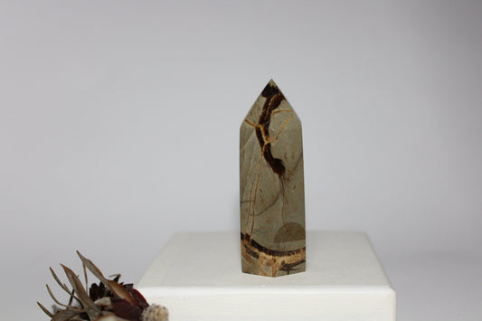 Generator - Septarian (Dragon Stone) - med