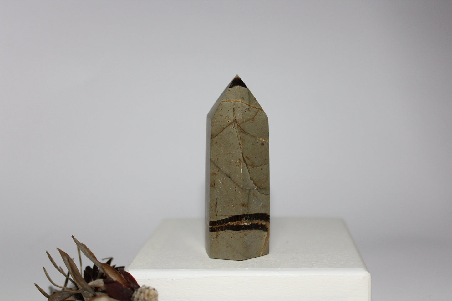 Generator - Septarian (Dragon Stone) - med