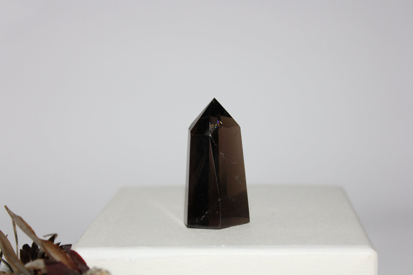 Generator - Smoky Quartz - sml