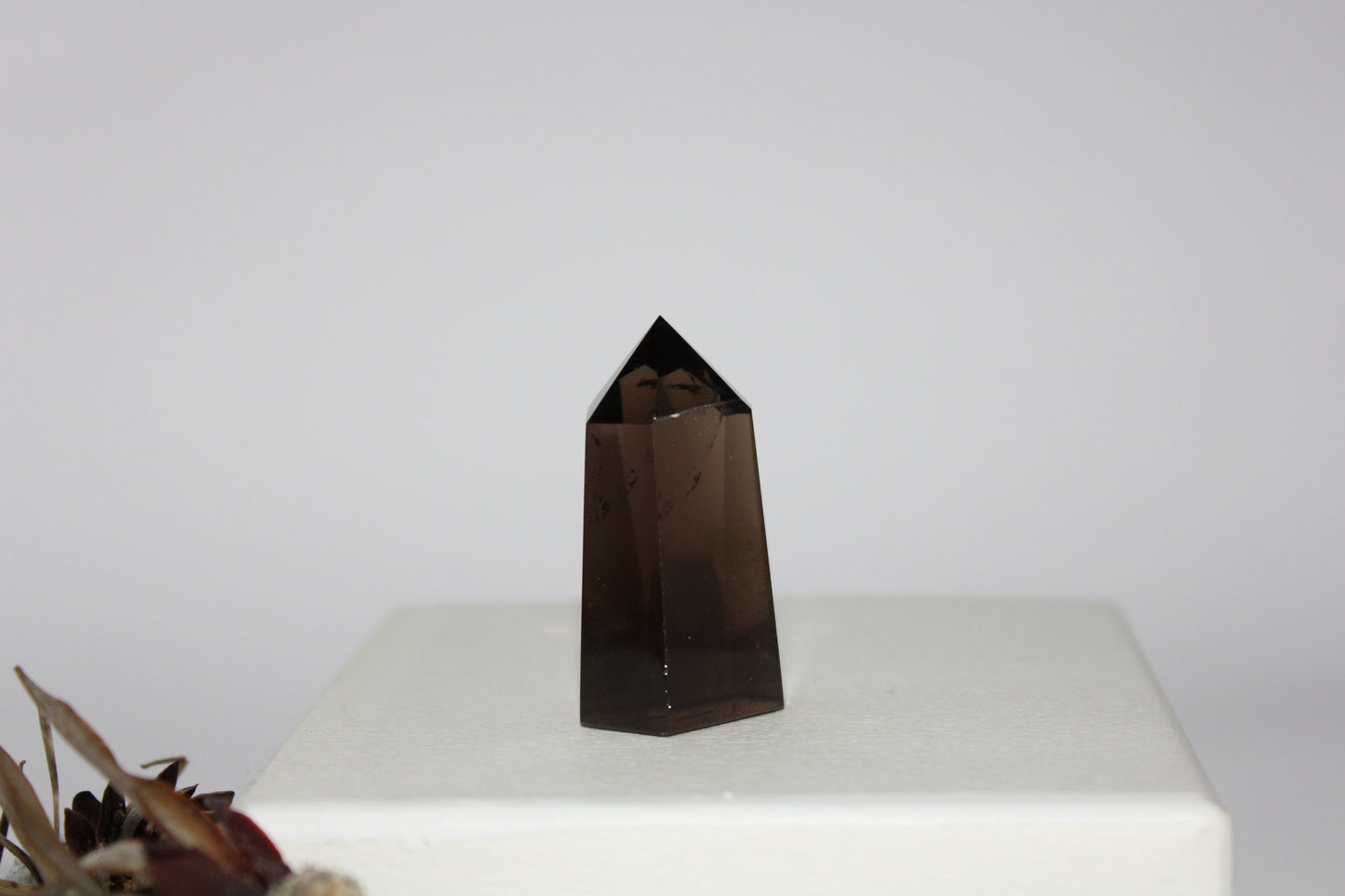 Generator - Smoky Quartz - sml