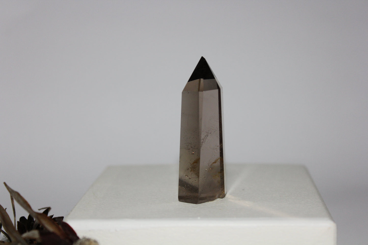 Generator - Smoky Quartz - sml