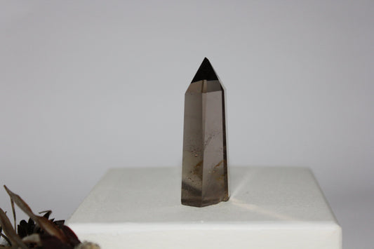 Generator - Smoky Quartz - sml