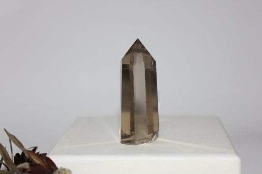 Generator - Smoky Quartz - sml