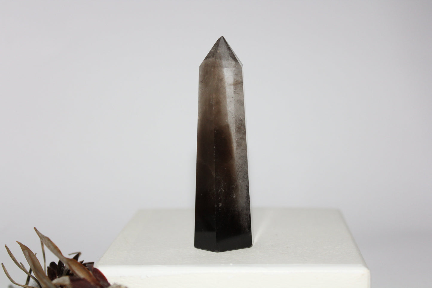 Generator - Smoky Quartz - sml