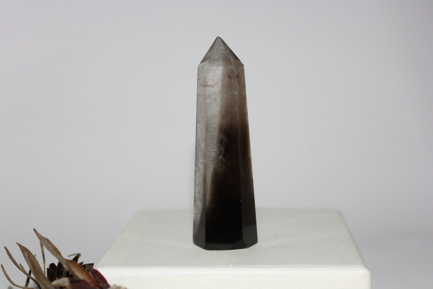 Generator - Smoky Quartz - sml