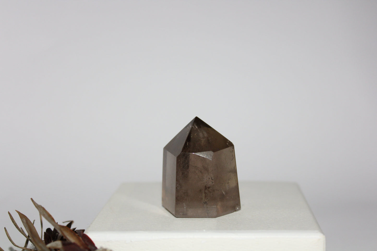 Generator - Smoky Quartz - med