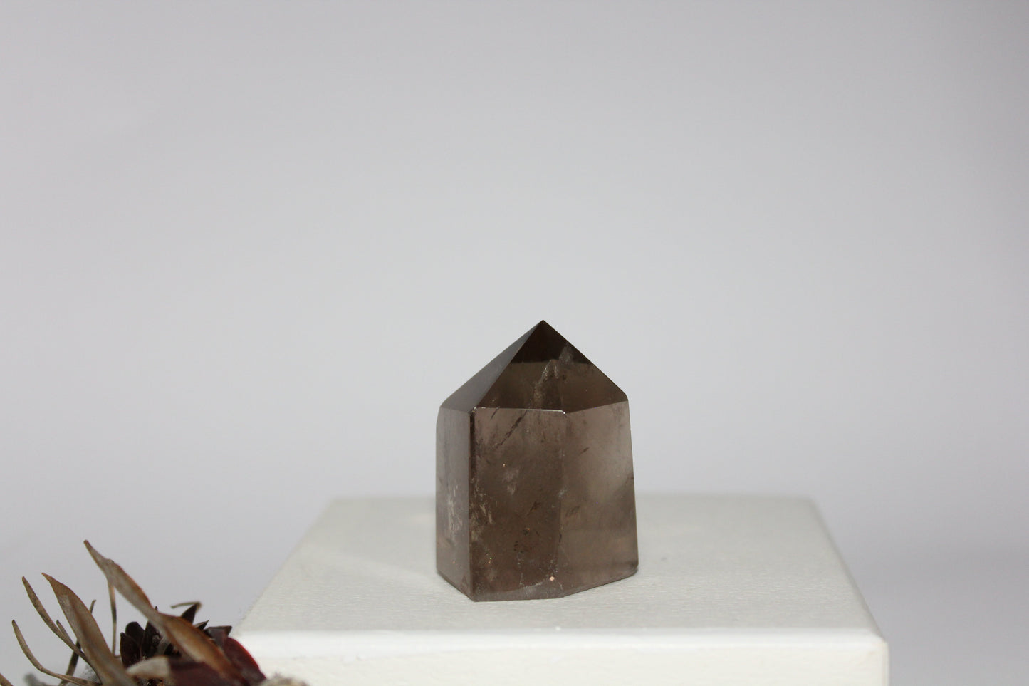 Generator - Smoky Quartz - med