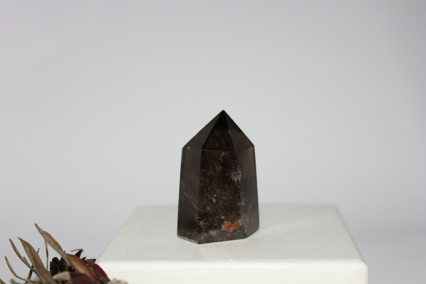 Generator - Smoky Quartz - med