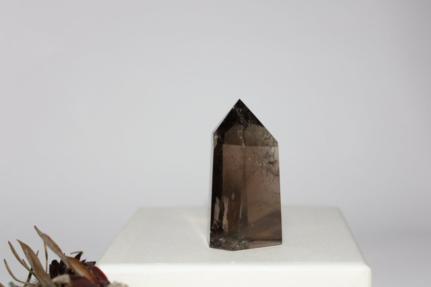 Generator - Smoky Quartz - med