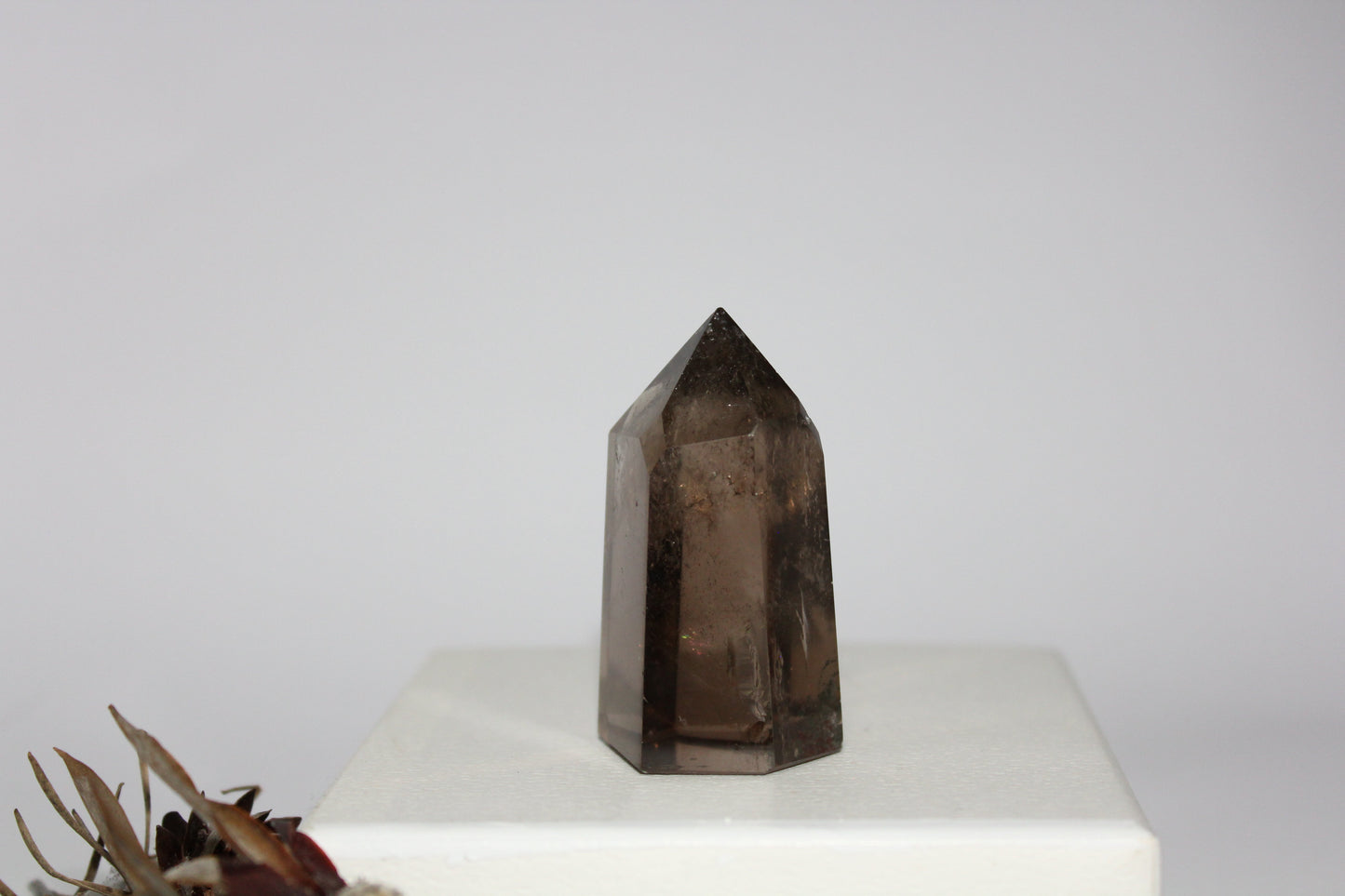Generator - Smoky Quartz - med