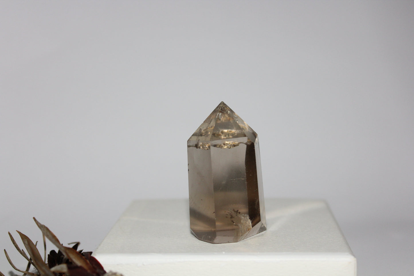 Generator - Smoky Quartz - med