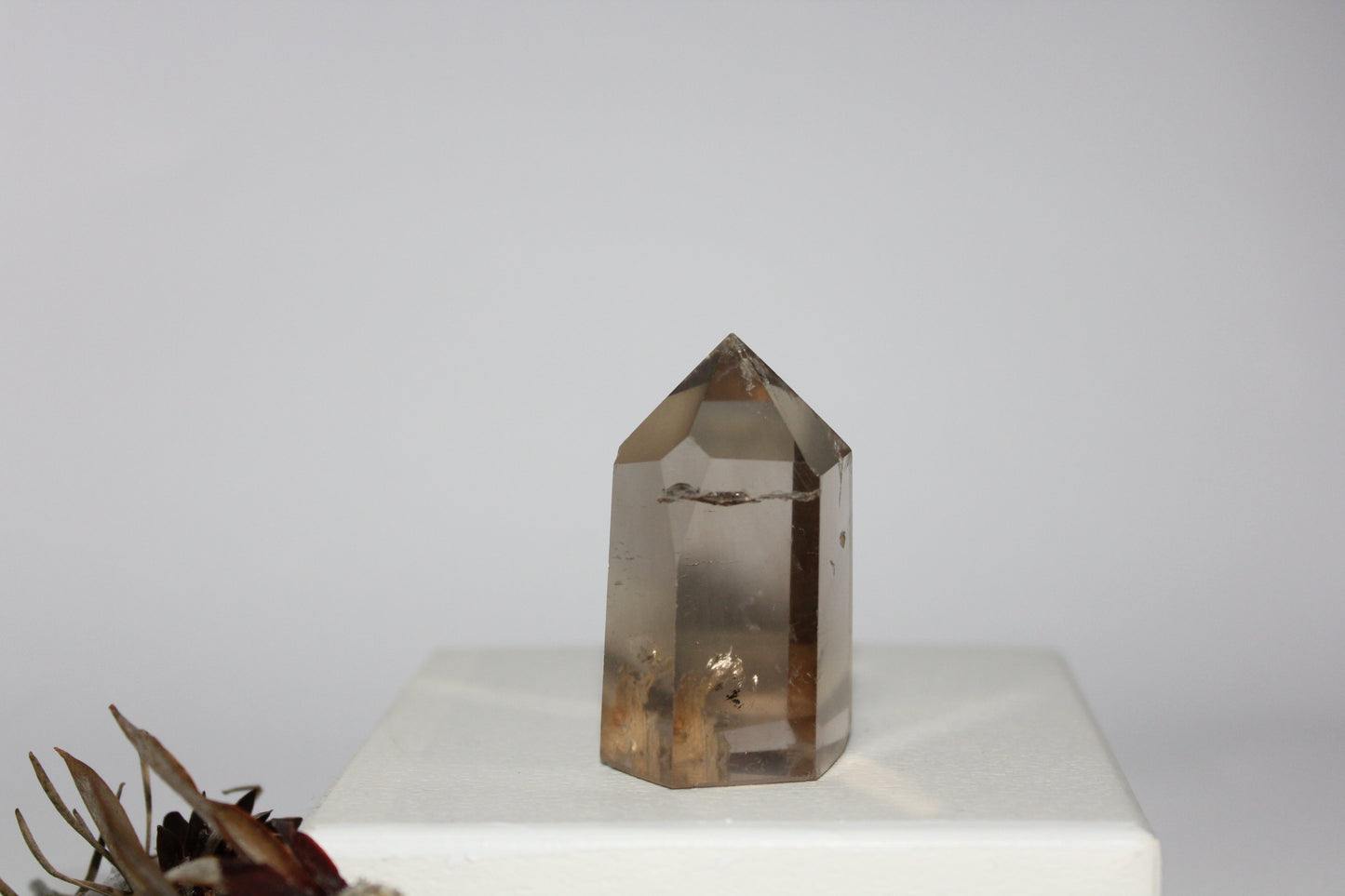 Generator - Smoky Quartz - med