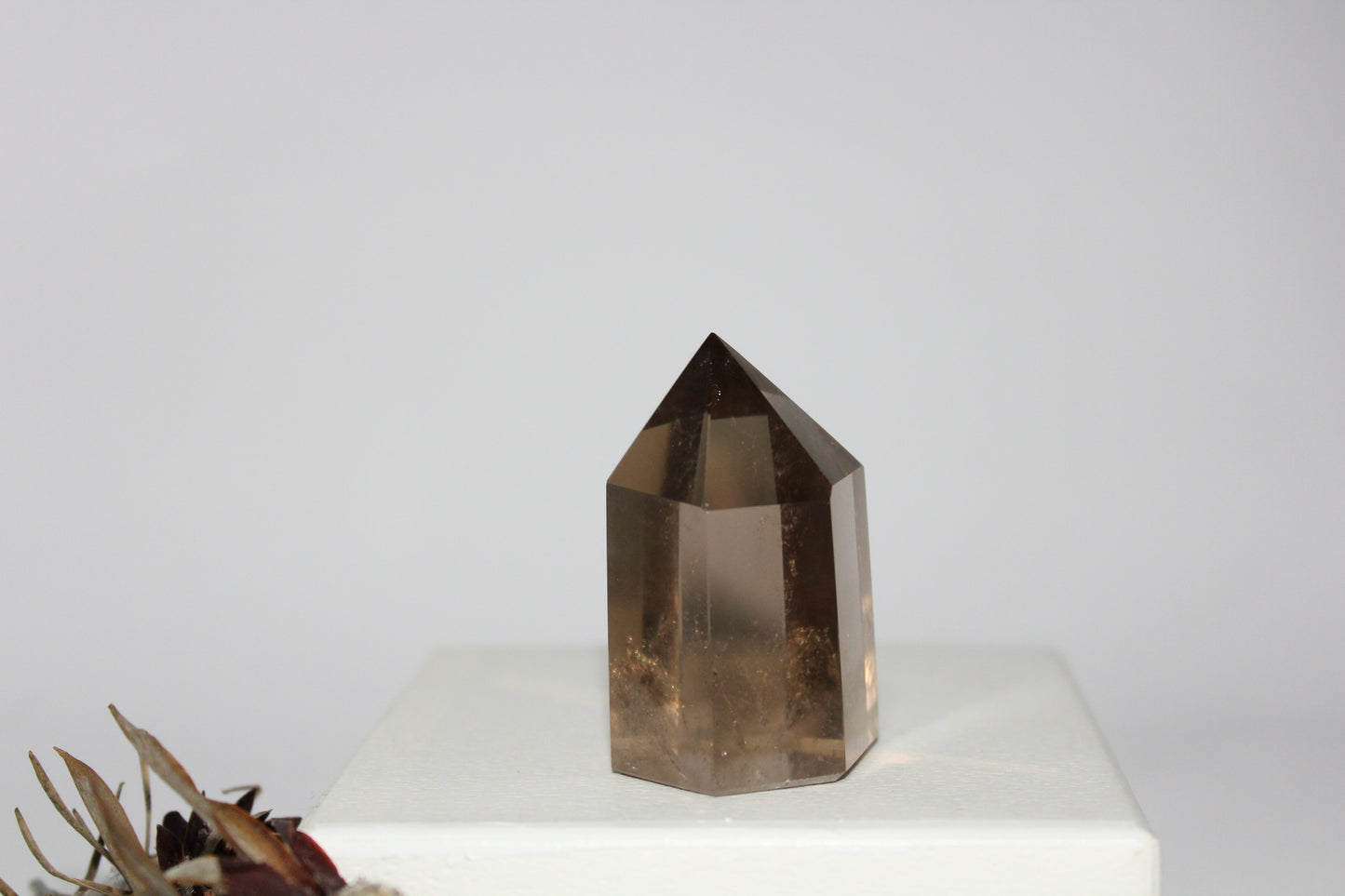 Generator - Smoky Quartz - med