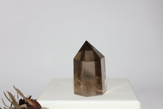 Generator - Smoky Quartz - med