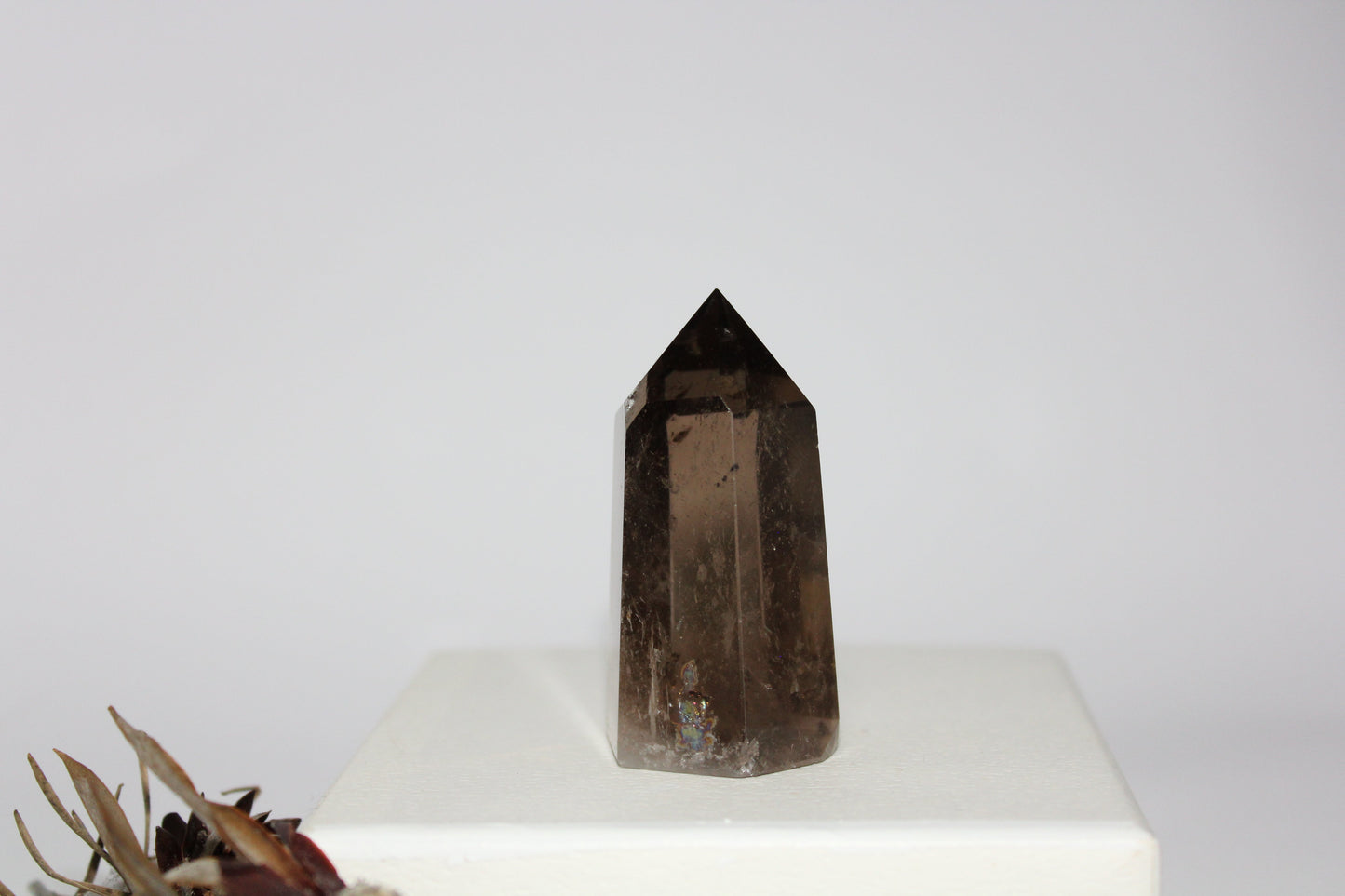 Generator - Smoky Quartz - med