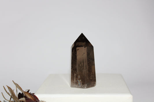 Generator - Smoky Quartz - med