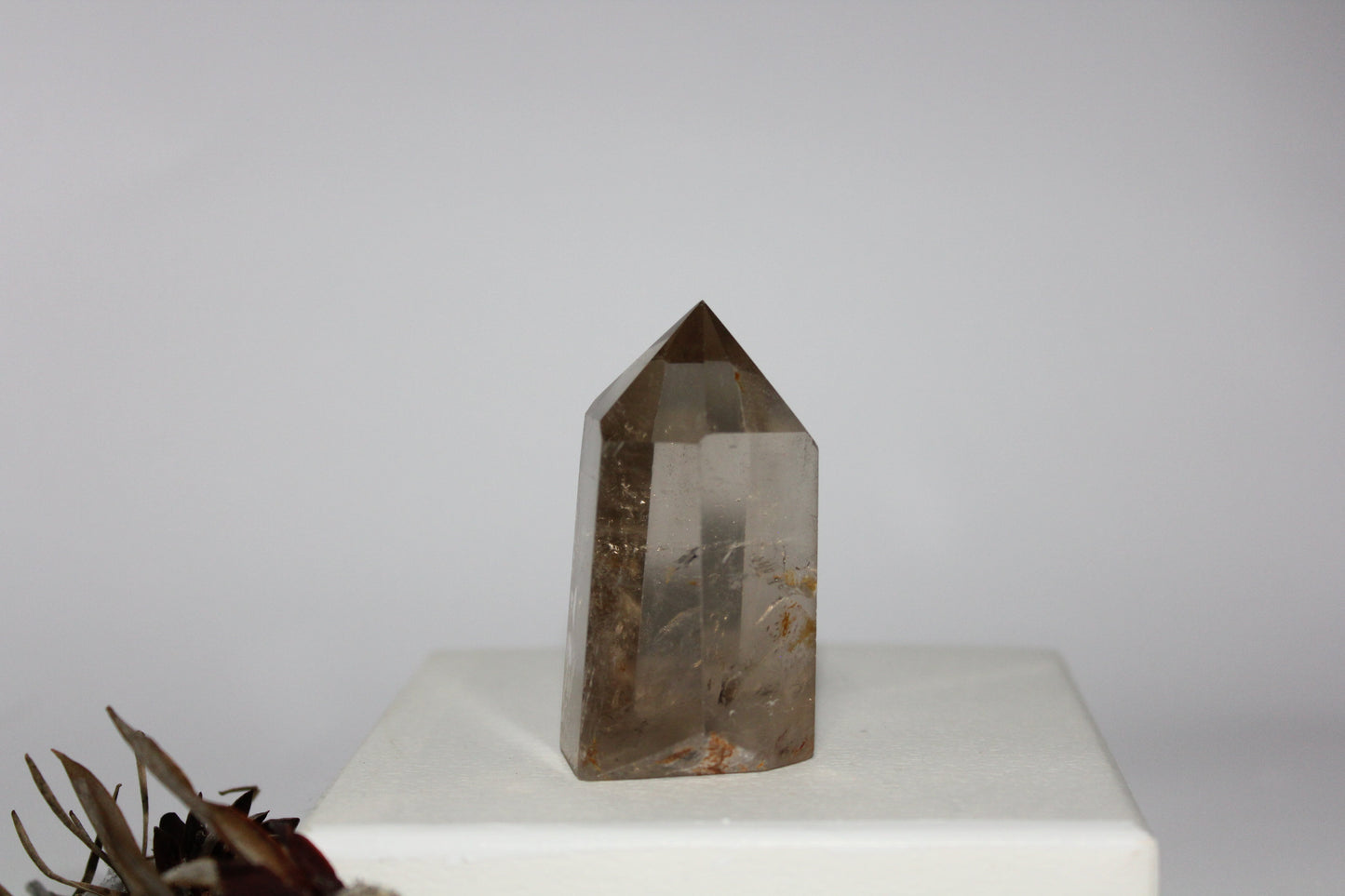 Generator - Smoky Quartz - med/lge