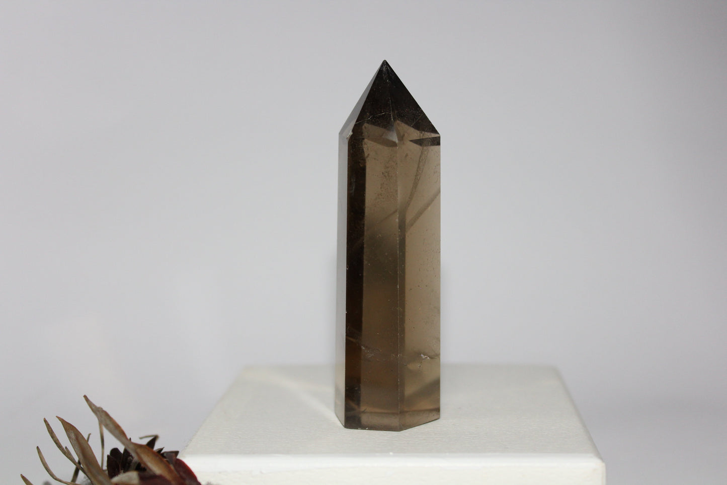 Generator - Smoky Quartz - med/lge
