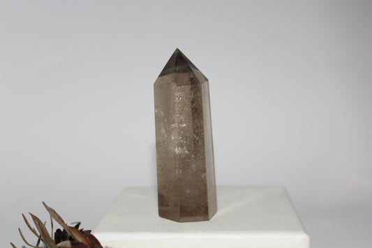 Generator - Smoky Quartz - med/lge