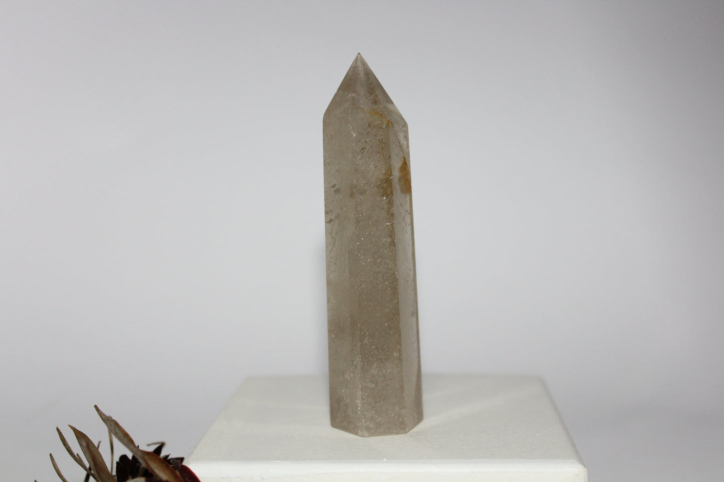 Generator - Smoky Quartz - med/lge