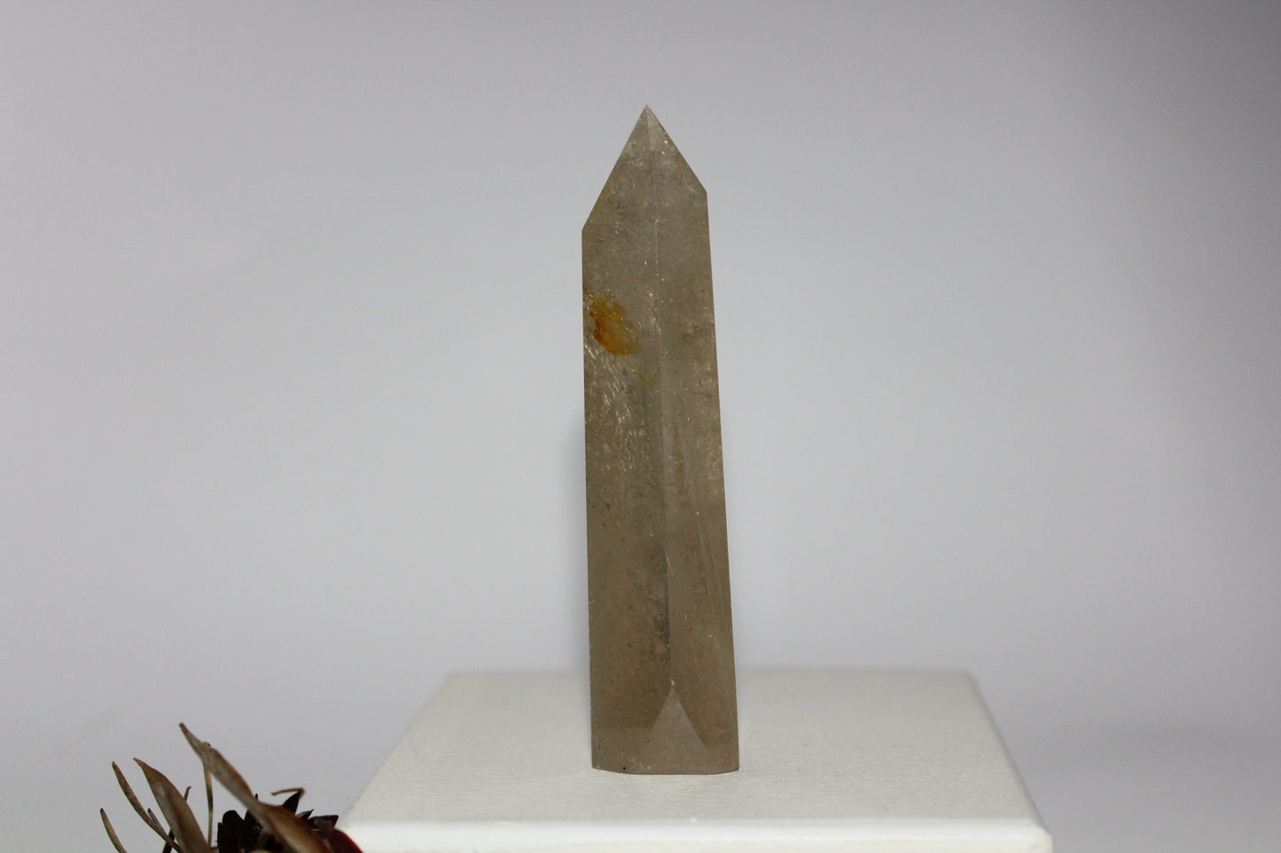 Generator - Smoky Quartz - med/lge