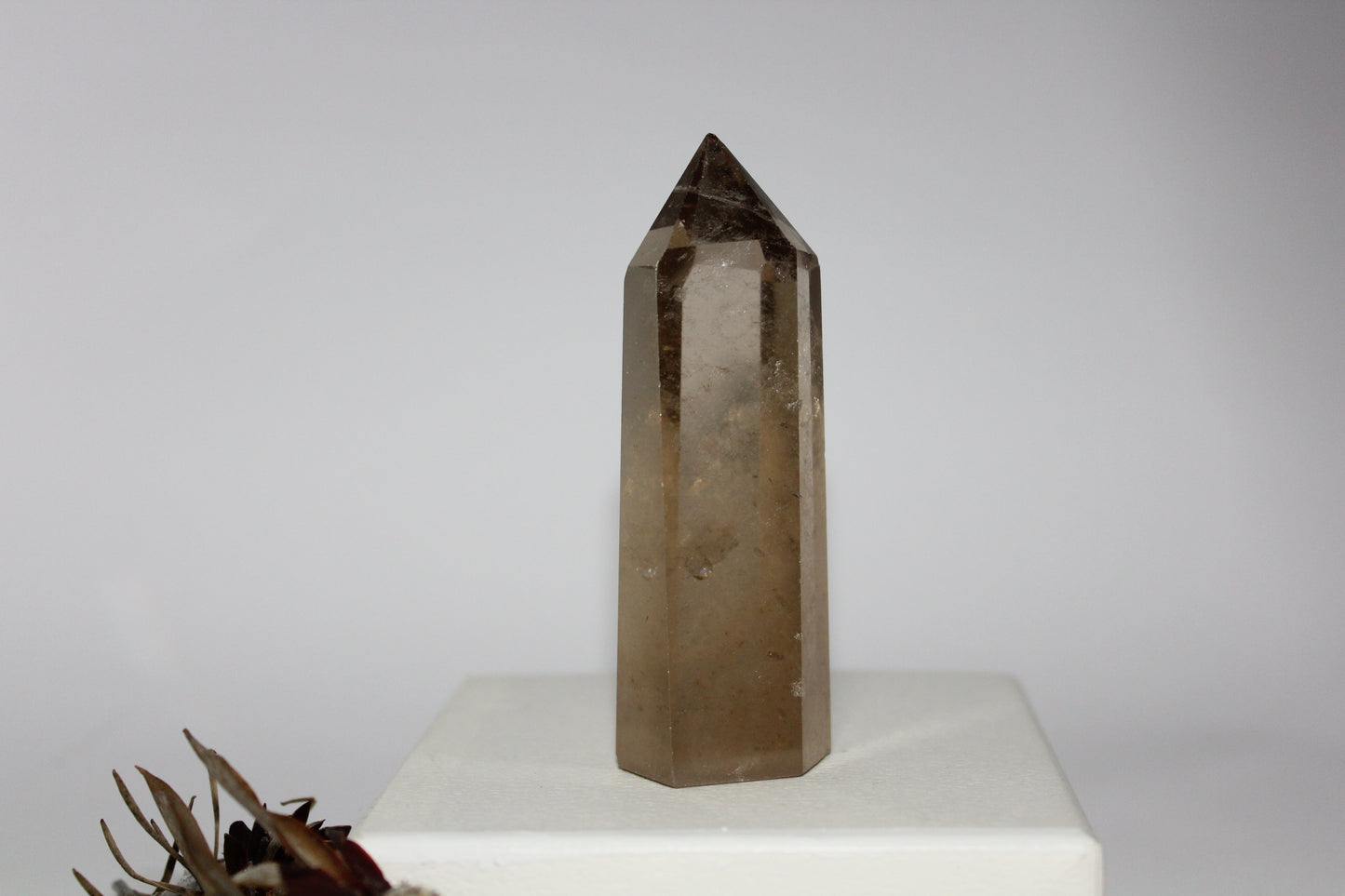 Generator - Smoky Quartz - med/lge