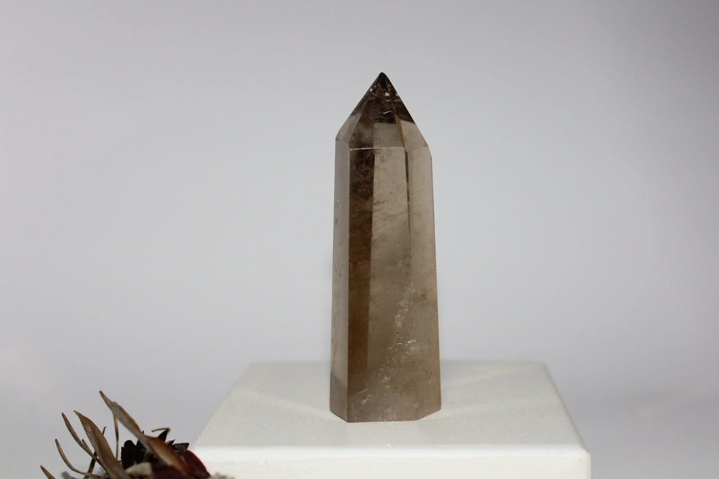 Generator - Smoky Quartz - med/lge