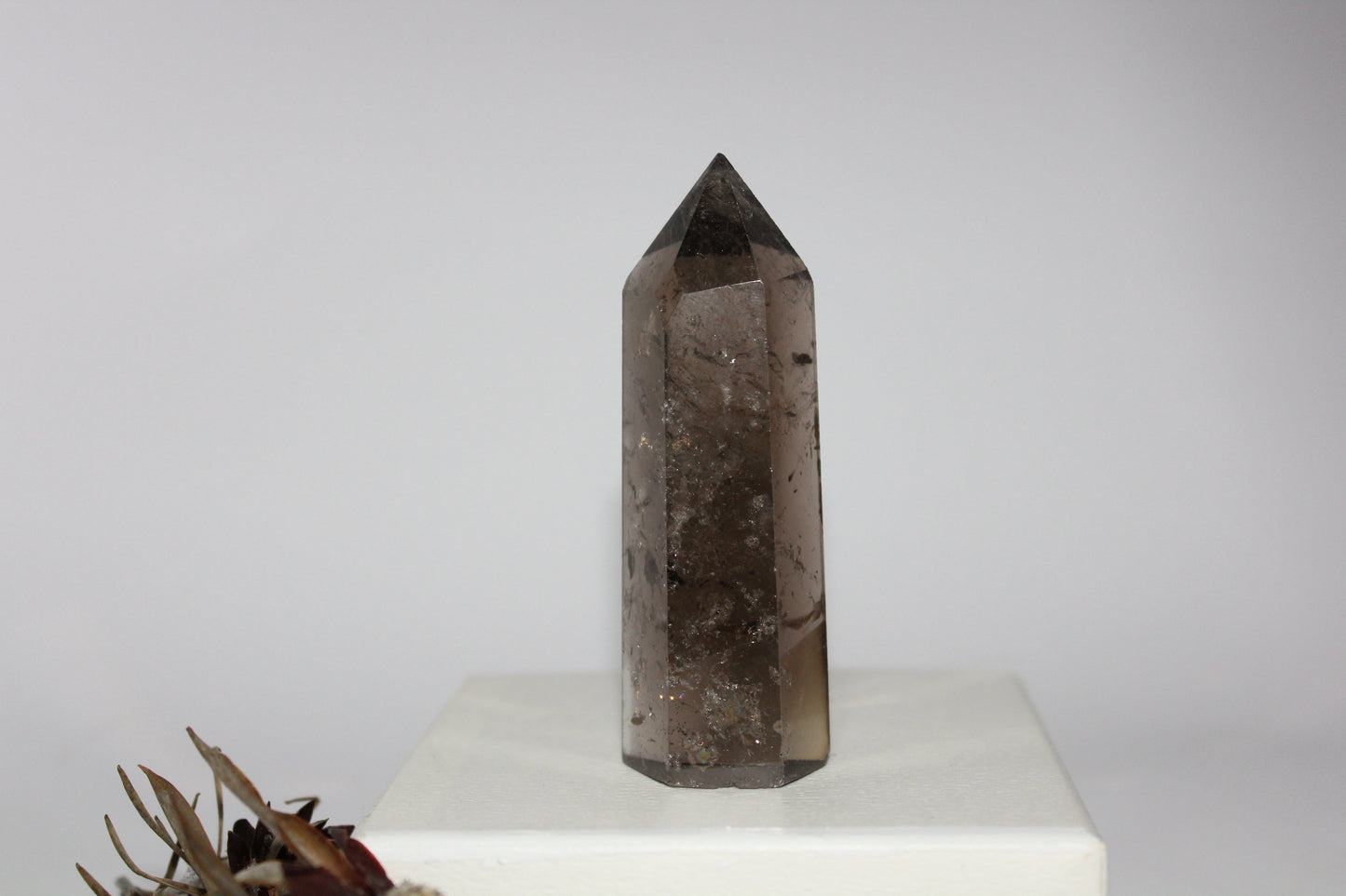 Generator - Smoky Quartz - med/lge