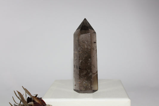 Generator - Smoky Quartz - med/lge