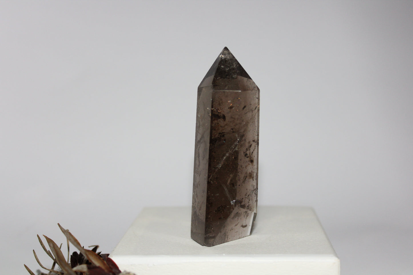 Generator - Smoky Quartz - med/lge
