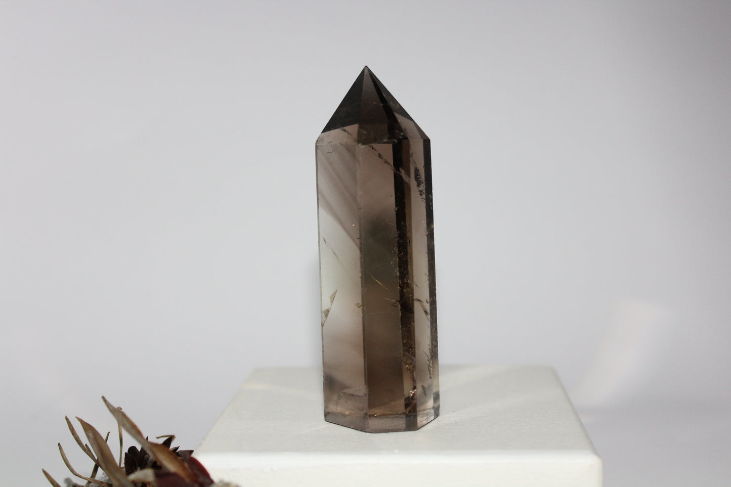 Generator - Smoky Quartz - med/lge